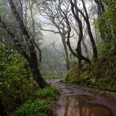 Madeira